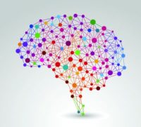 creativiteit-innovatie-en-het-brein-300x272